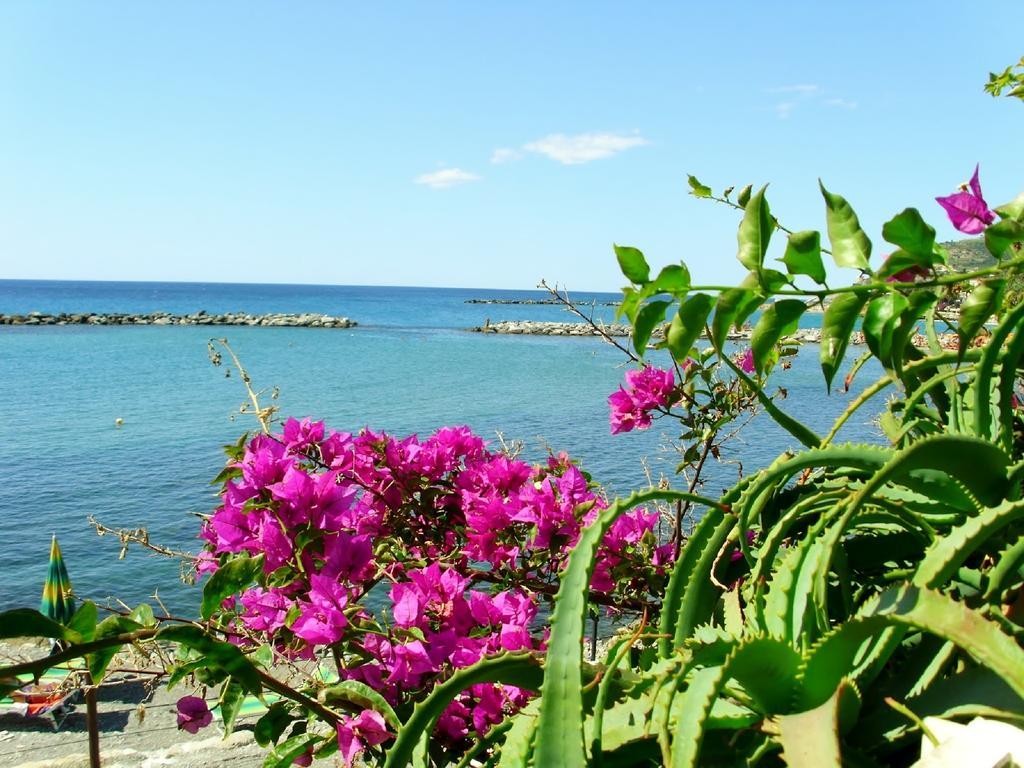 Hotel Paradiso Sanremo Esterno foto